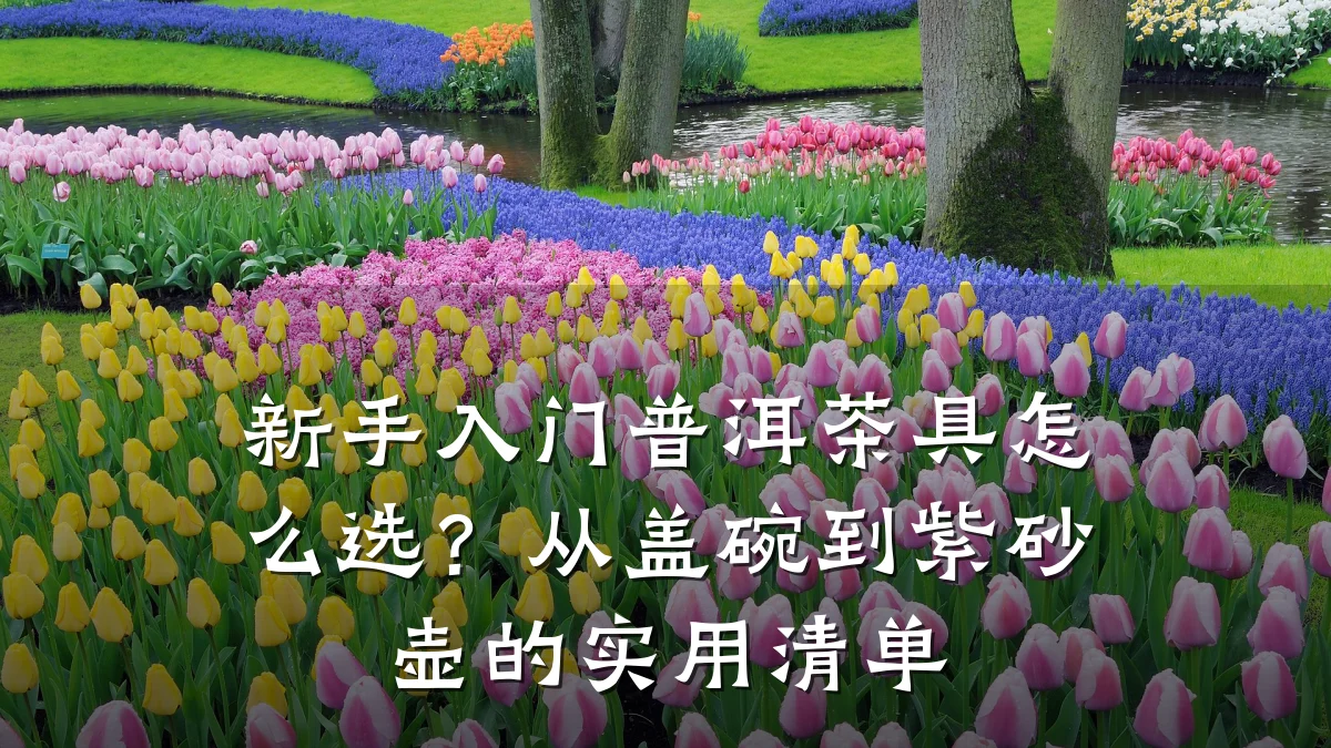 新手入门普洱茶具怎么选?从盖碗到紫砂壶的实用清单