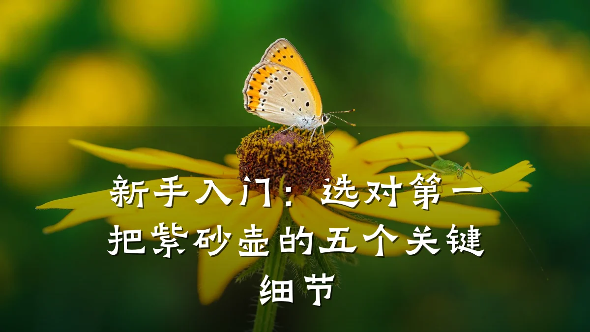 新手入门:选对第一把紫砂壶的五个关键细节