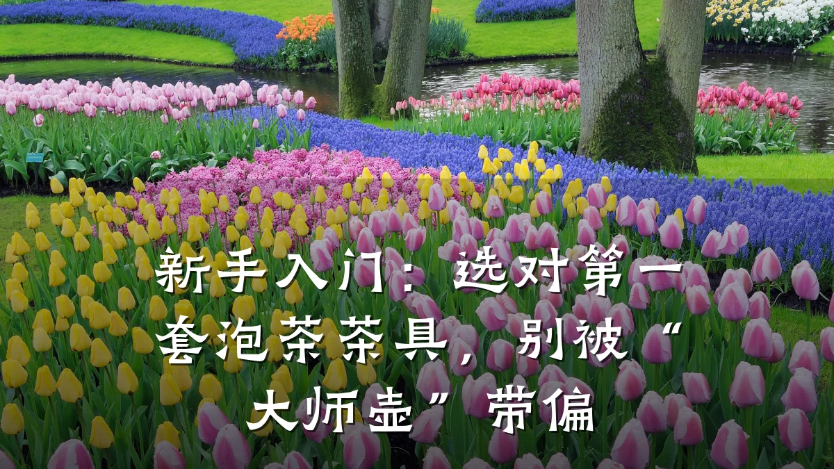 新手入门:选对第一套泡茶茶具,别被“大师壶”带偏