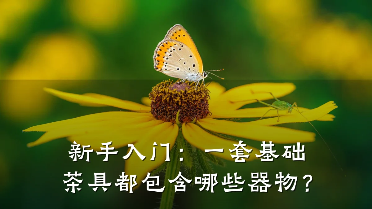 新手入门：一套基础茶具都包含哪些器物？