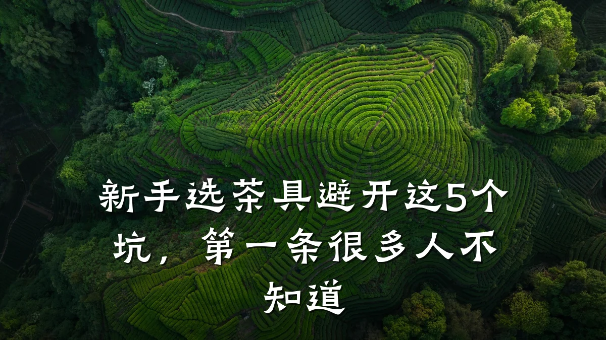 新手选茶具避开这5个坑,第一条很多人不知道