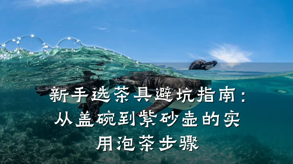 新手选茶具避坑指南:从盖碗到紫砂壶的实用泡茶步骤