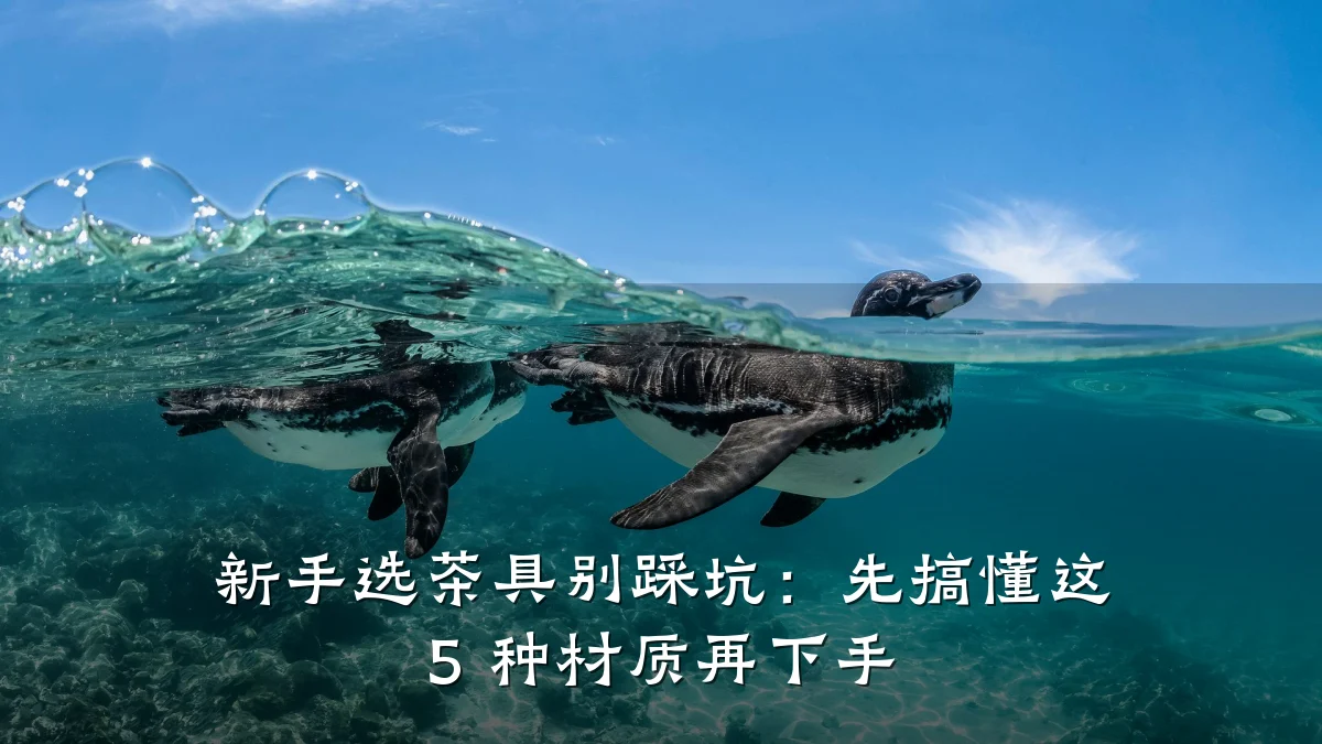 新手选茶具别踩坑:先搞懂这 5 种材质再下手