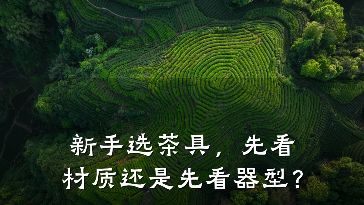 新手选茶具,先看材质还是先看器型?