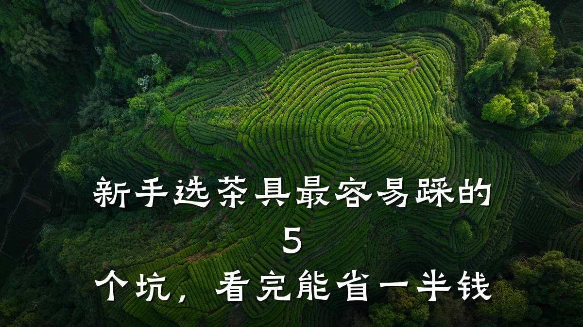 新手选茶具最容易踩的 5 个坑，看完能省一半钱