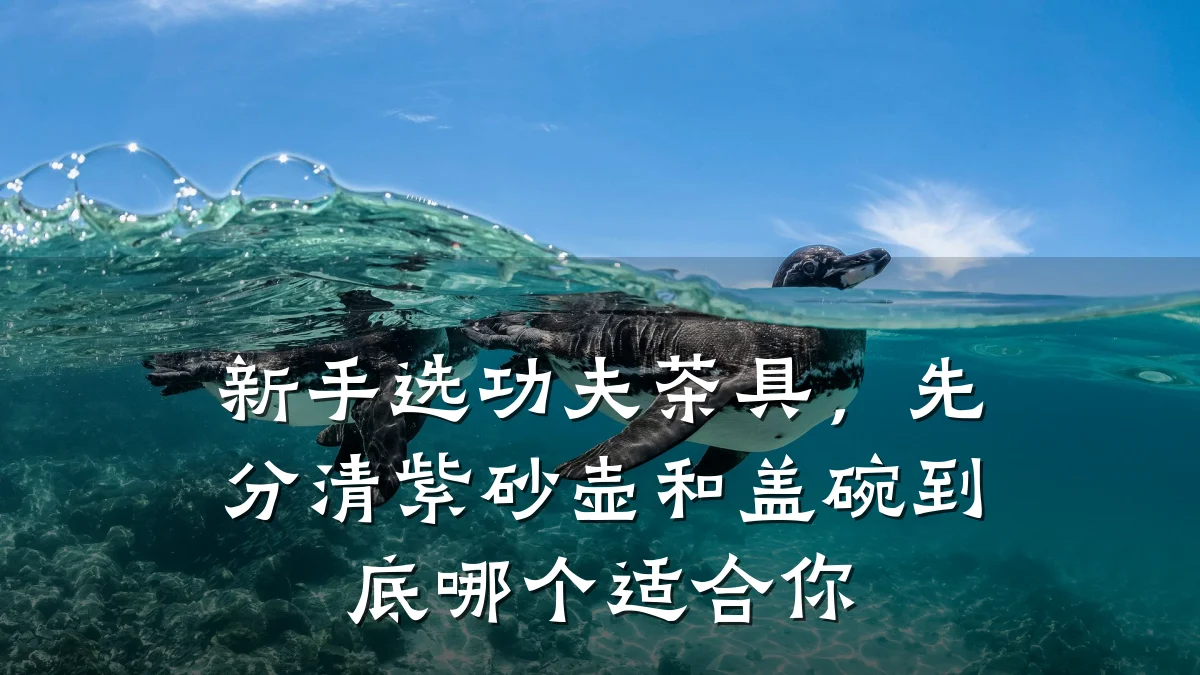 新手选功夫茶具,先分清紫砂壶和盖碗到底哪个适合你