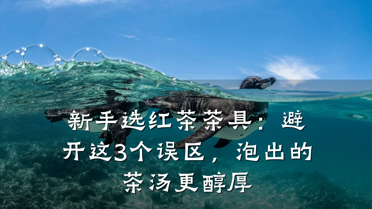 新手选红茶茶具：避开这3个误区，泡出的茶汤更醇厚