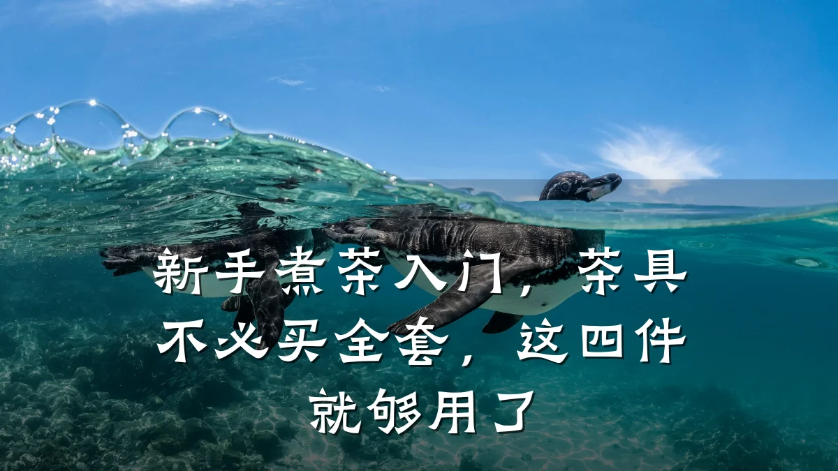 新手煮茶入门,茶具不必买全套,这四件就够用了
