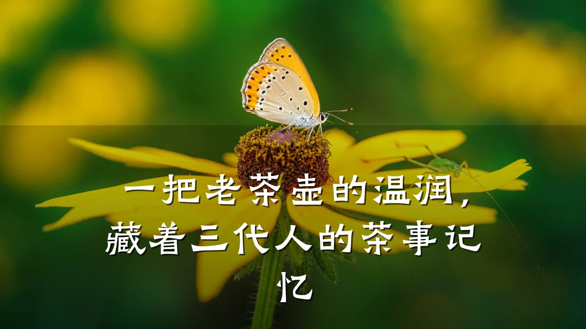 一把老茶壶的温润,藏着三代人的茶事记忆