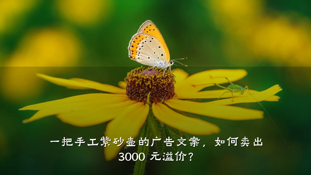 一把手工紫砂壶的广告文案,如何卖出 3000 元溢价?