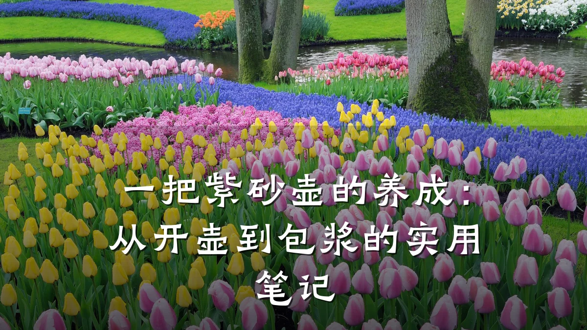 一把紫砂壶的养成:从开壶到包浆的实用笔记
