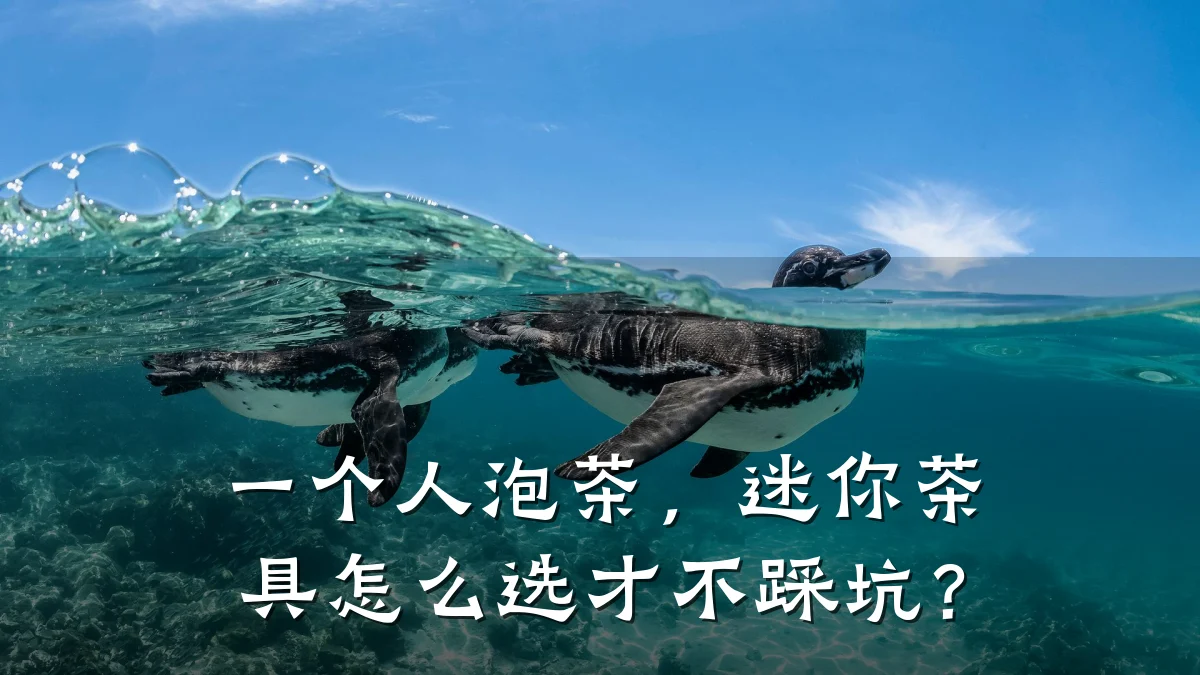 一个人泡茶,迷你茶具怎么选才不踩坑?