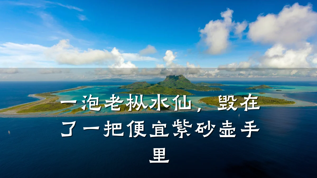 一泡老枞水仙,毁在了一把便宜紫砂壶手里