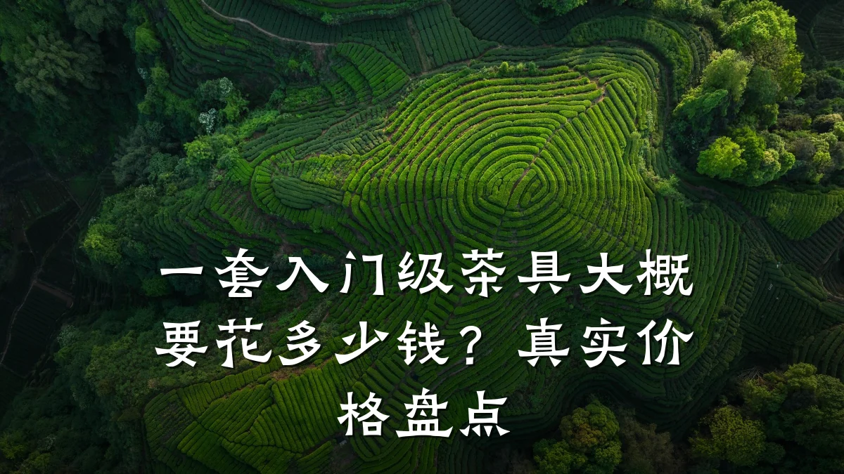 一套入门级茶具大概要花多少钱?真实价格盘点