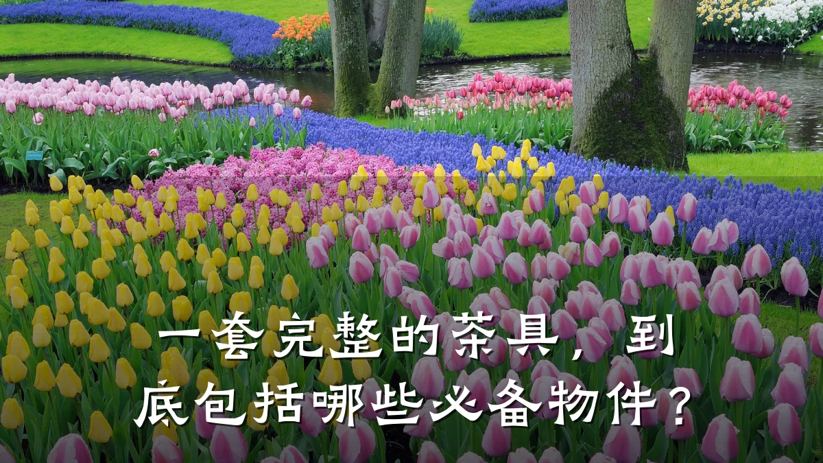 一套完整的茶具,到底包括哪些必备物件?