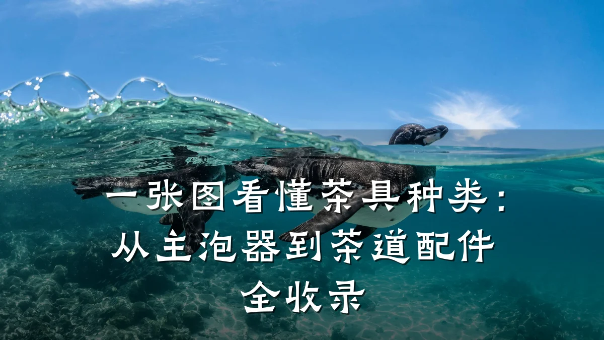 一张图看懂茶具种类：从主泡器到茶道配件全收录