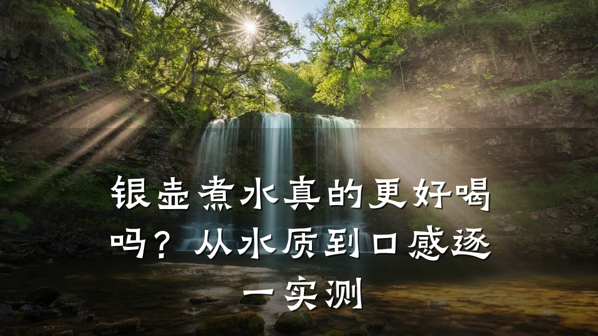 银壶煮水真的更好喝吗?从水质到口感逐一实测