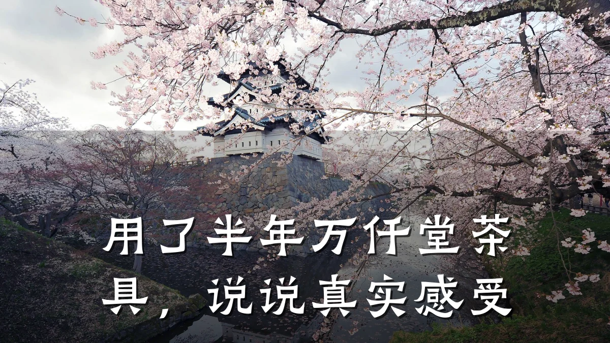 用了半年万仟堂茶具,说说真实感受
