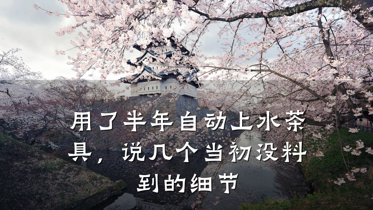 用了半年自动上水茶具,说几个当初没料到的细节