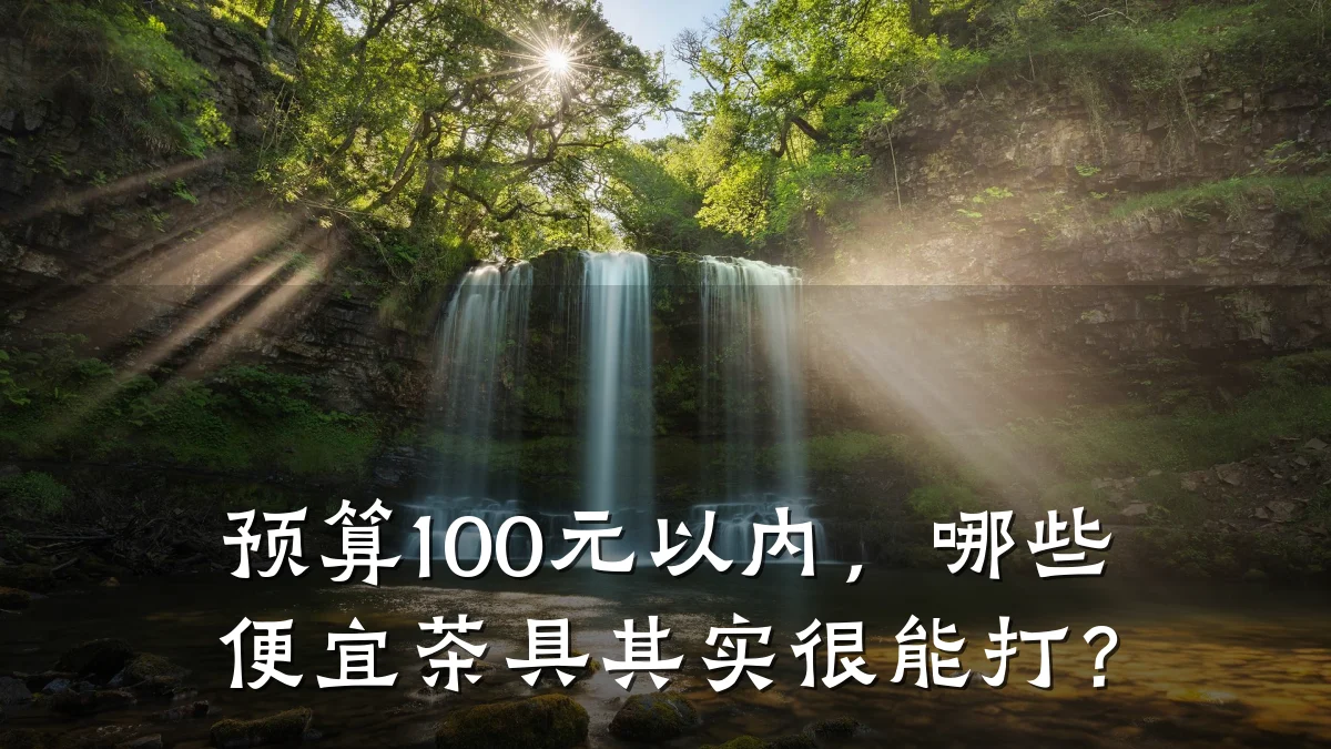 预算100元以内,哪些便宜茶具其实很能打?