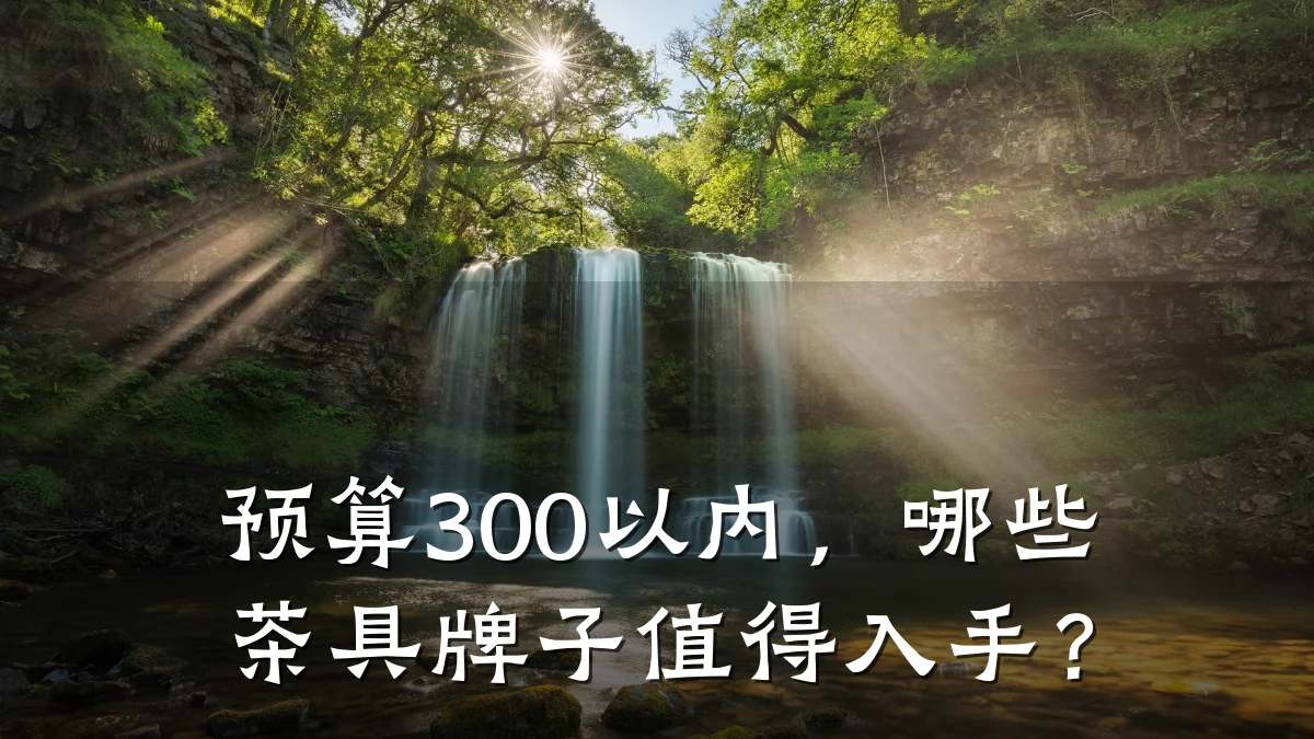 预算300以内,哪些茶具牌子值得入手?