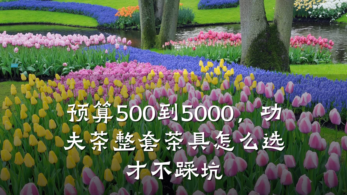 预算500到5000,功夫茶整套茶具怎么选才不踩坑