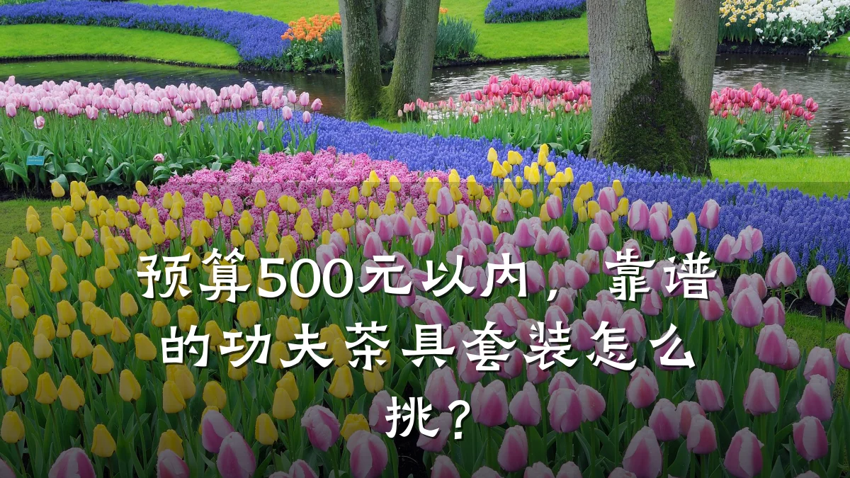 预算500元以内,靠谱的功夫茶具套装怎么挑?