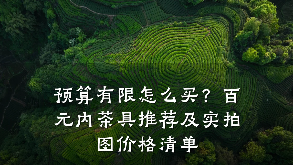 预算有限怎么买?百元内茶具推荐及实拍图价格清单