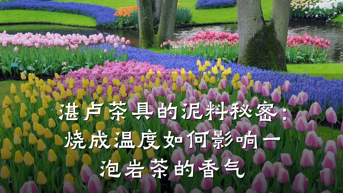 湛卢茶具的泥料秘密:烧成温度如何影响一泡岩茶的香气