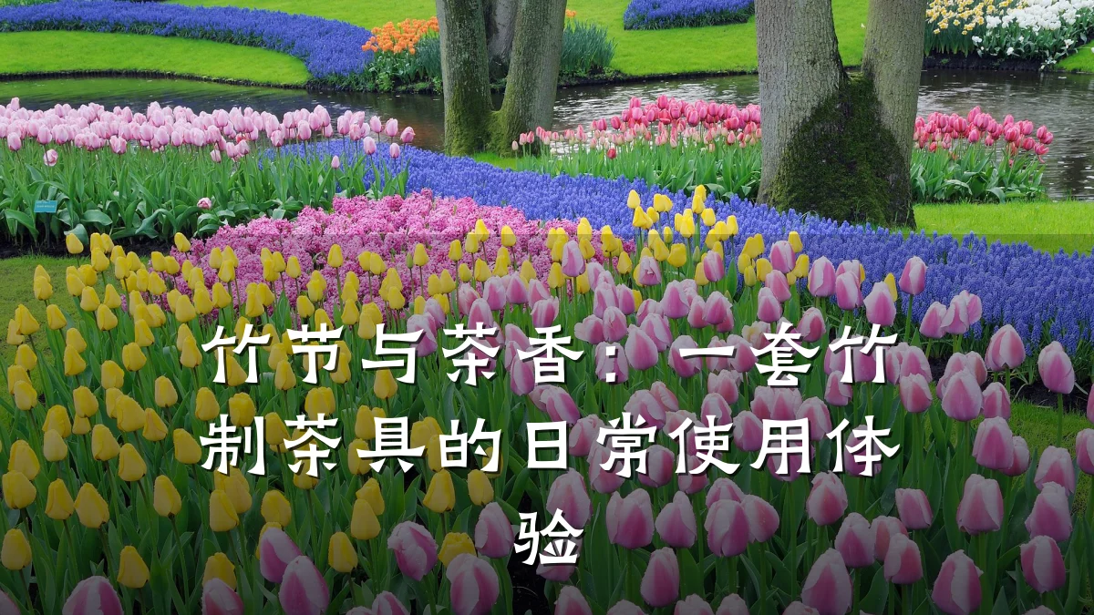 竹节与茶香:一套竹制茶具的日常使用体验