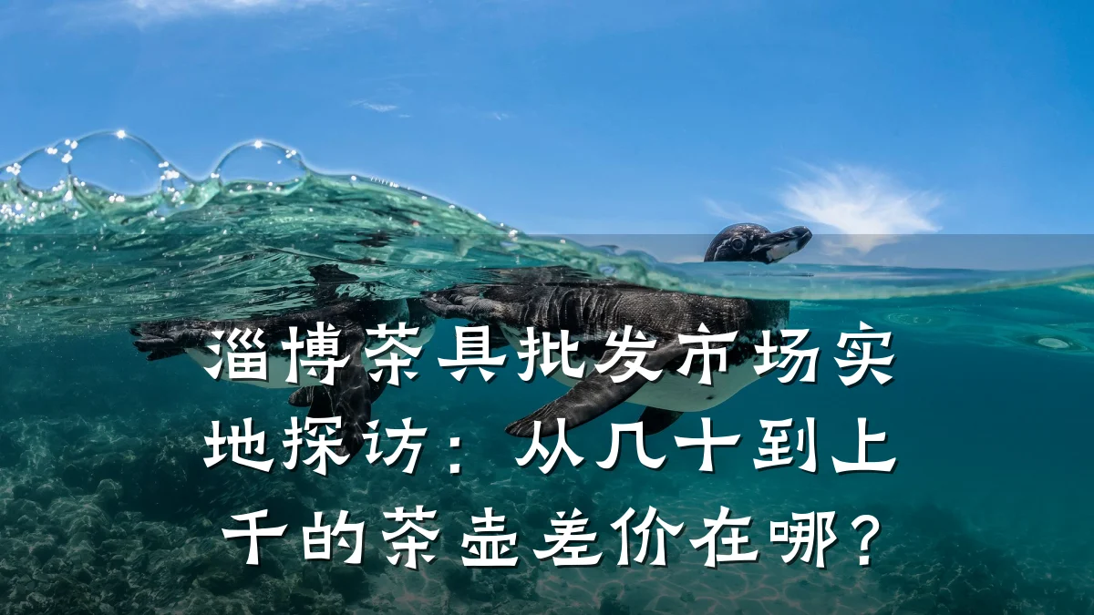 淄博茶具批发市场实地探访:从几十到上千的茶壶差价在哪?