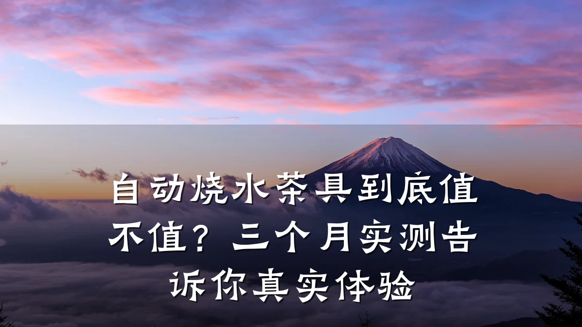 自动烧水茶具到底值不值？三个月实测告诉你真实体验