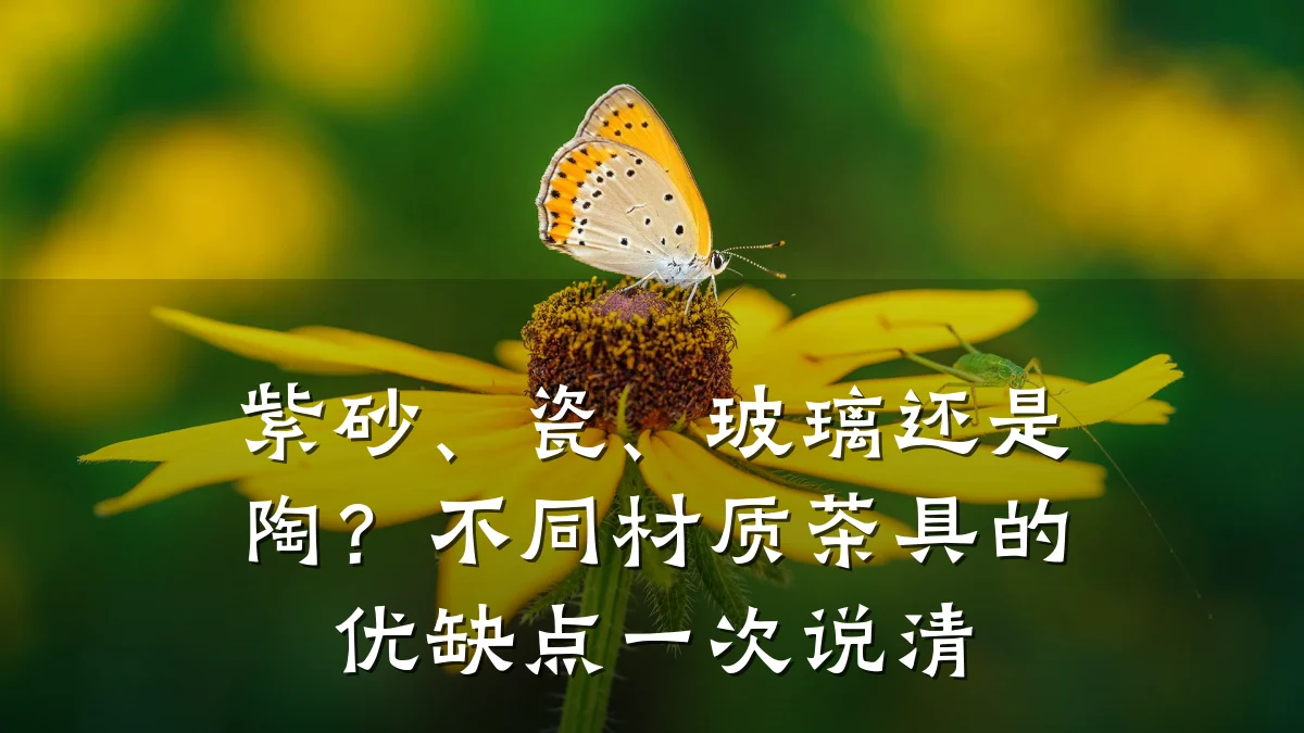 紫砂、瓷、玻璃还是陶?不同材质茶具的优缺点一次说清