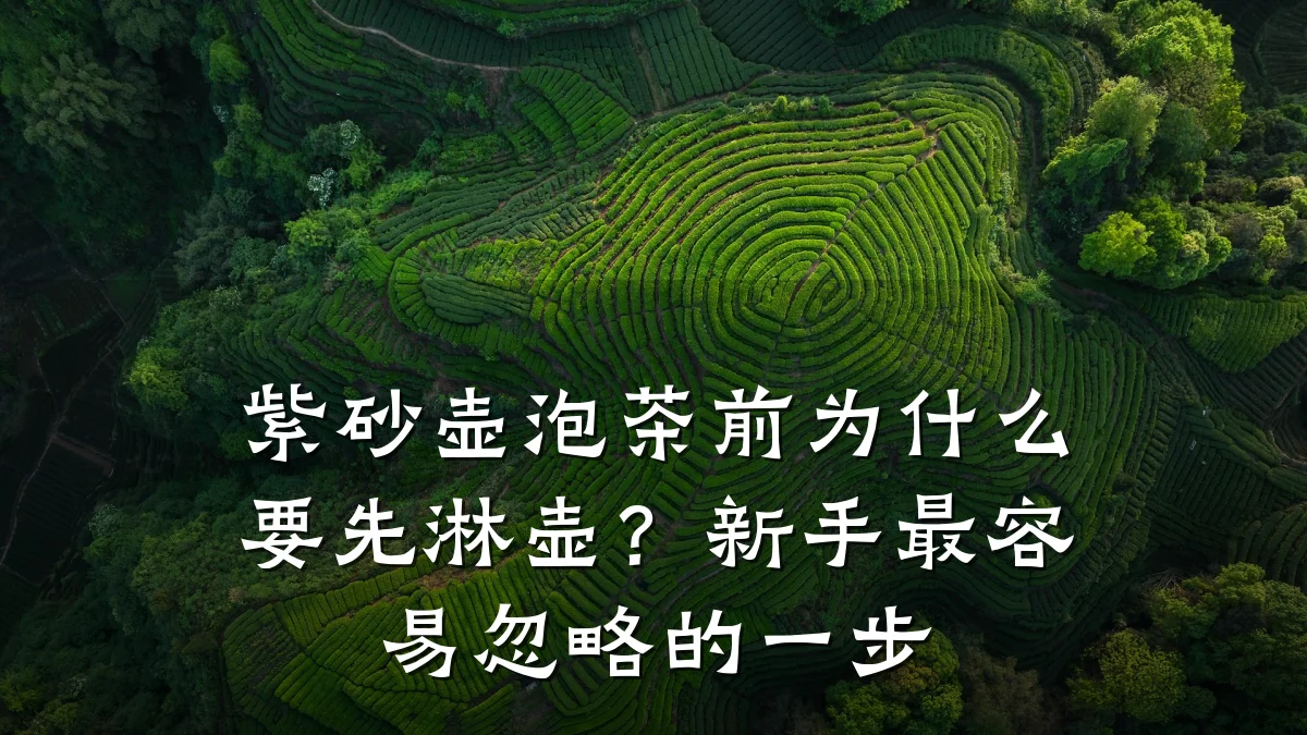 紫砂壶泡茶前为什么要先淋壶?新手最容易忽略的一步