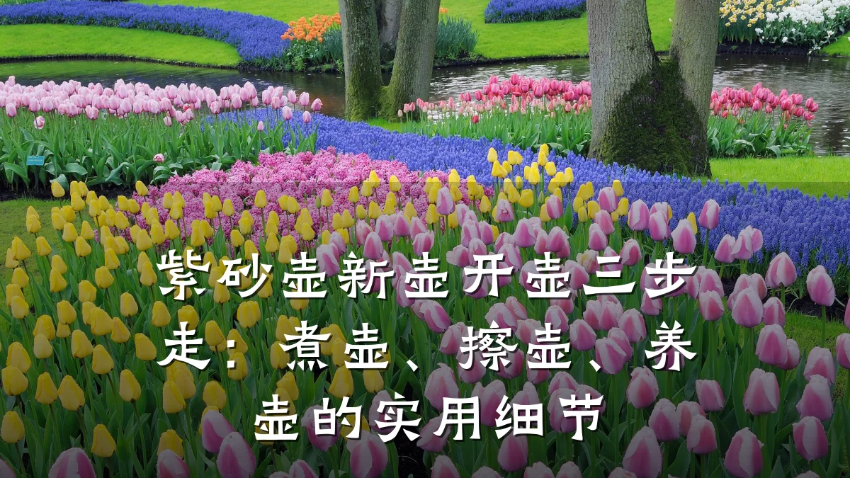 紫砂壶新壶开壶三步走:煮壶、擦壶、养壶的实用细节