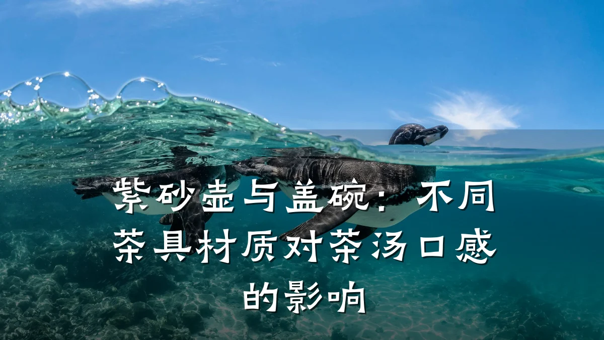 紫砂壶与盖碗:不同茶具材质对茶汤口感的影响