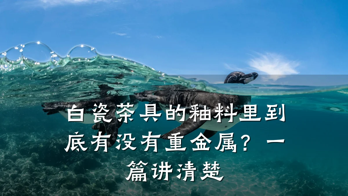 白瓷茶具的釉料里到底有没有重金属?一篇讲清楚