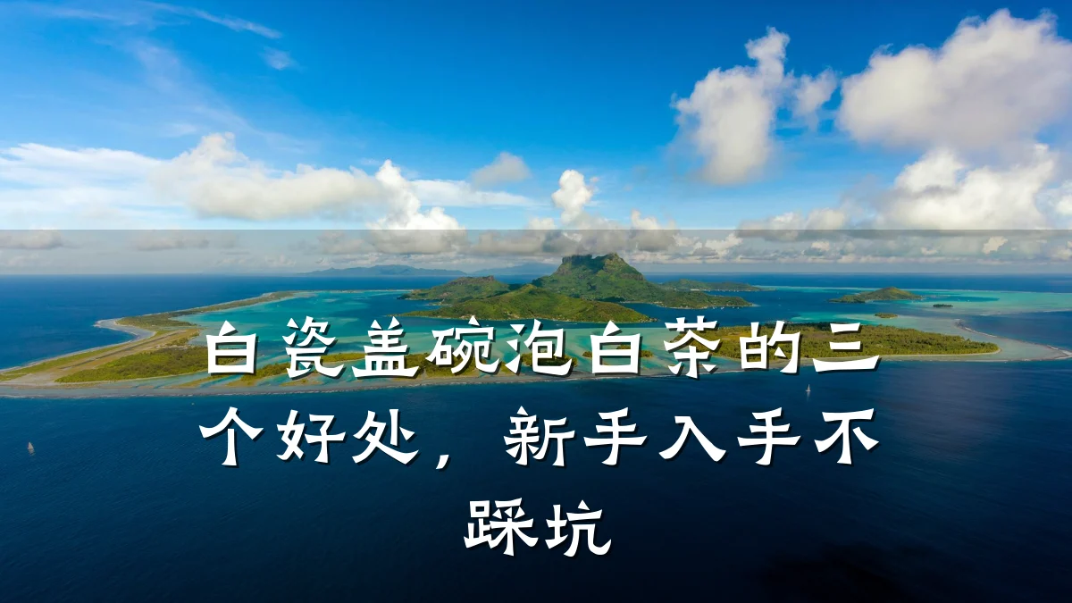 白瓷盖碗泡白茶的三个好处,新手入手不踩坑