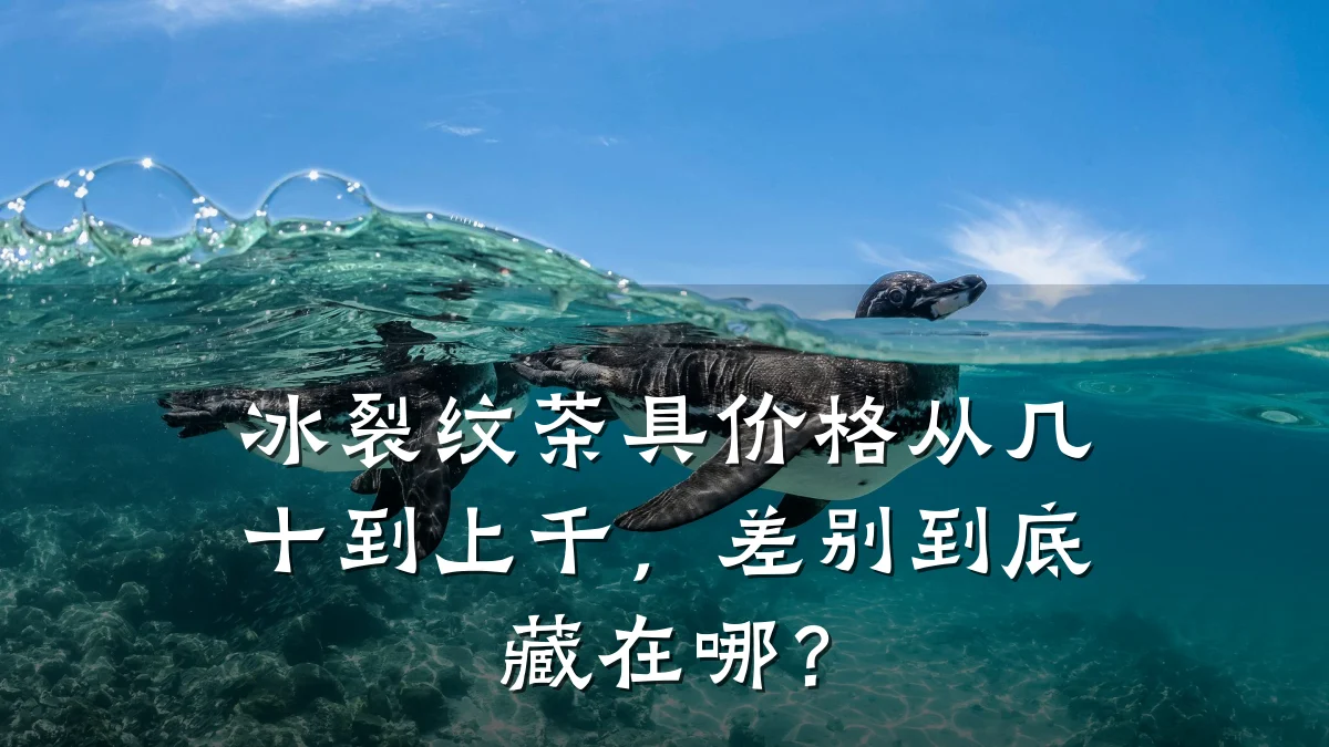 冰裂纹茶具价格从几十到上千，差别到底藏在哪？