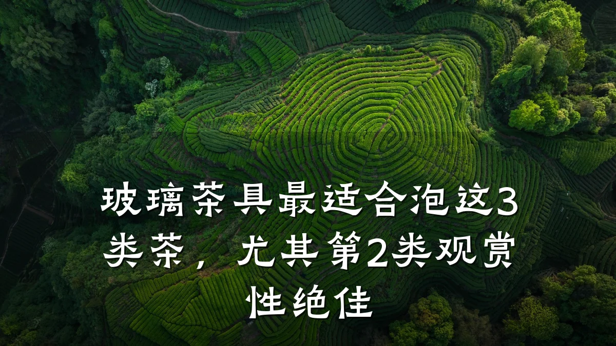 玻璃茶具最适合泡这3类茶,尤其第2类观赏性绝佳