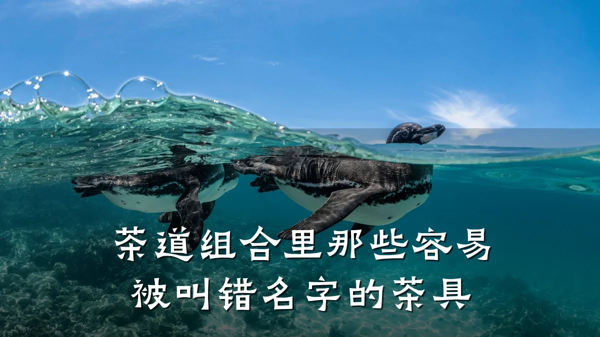 茶道组合里那些容易被叫错名字的茶具