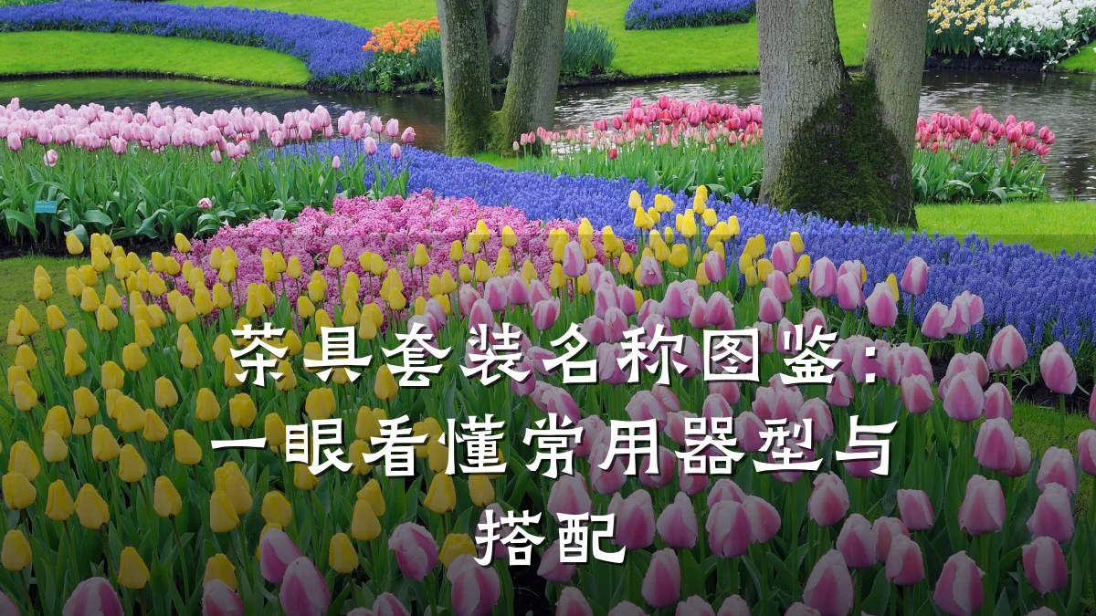 茶具套装名称图鉴：一眼看懂常用器型与搭配