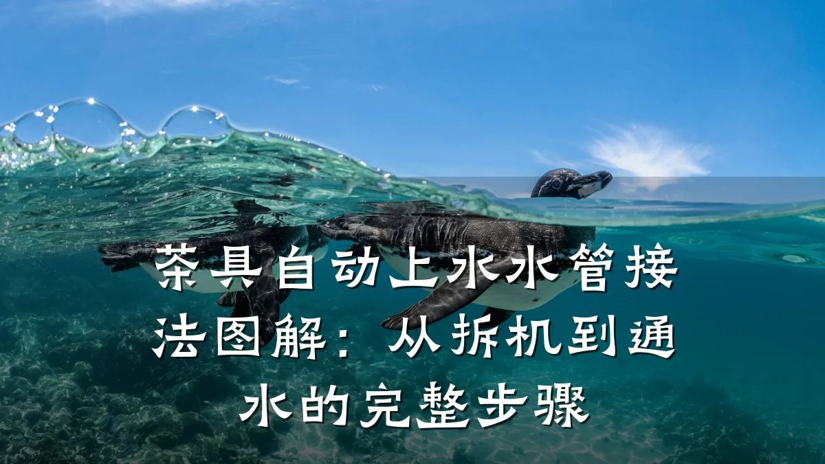 茶具自动上水水管接法图解:从拆机到通水的完整步骤