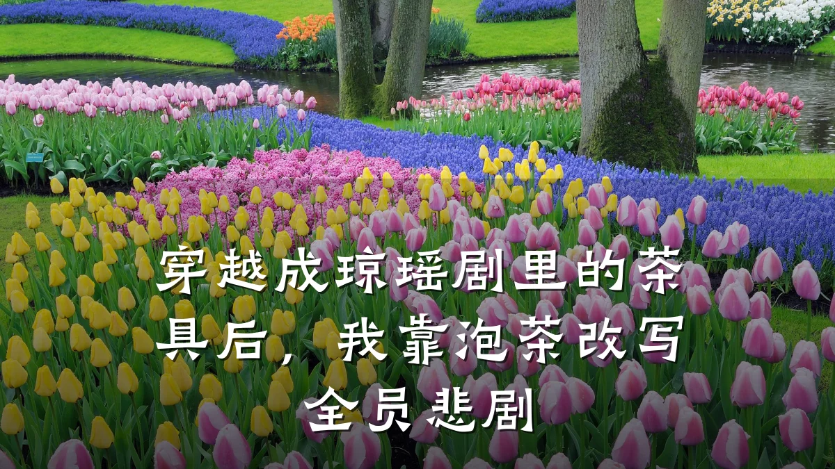 穿越成琼瑶剧里的茶具后,我靠泡茶改写全员悲剧
