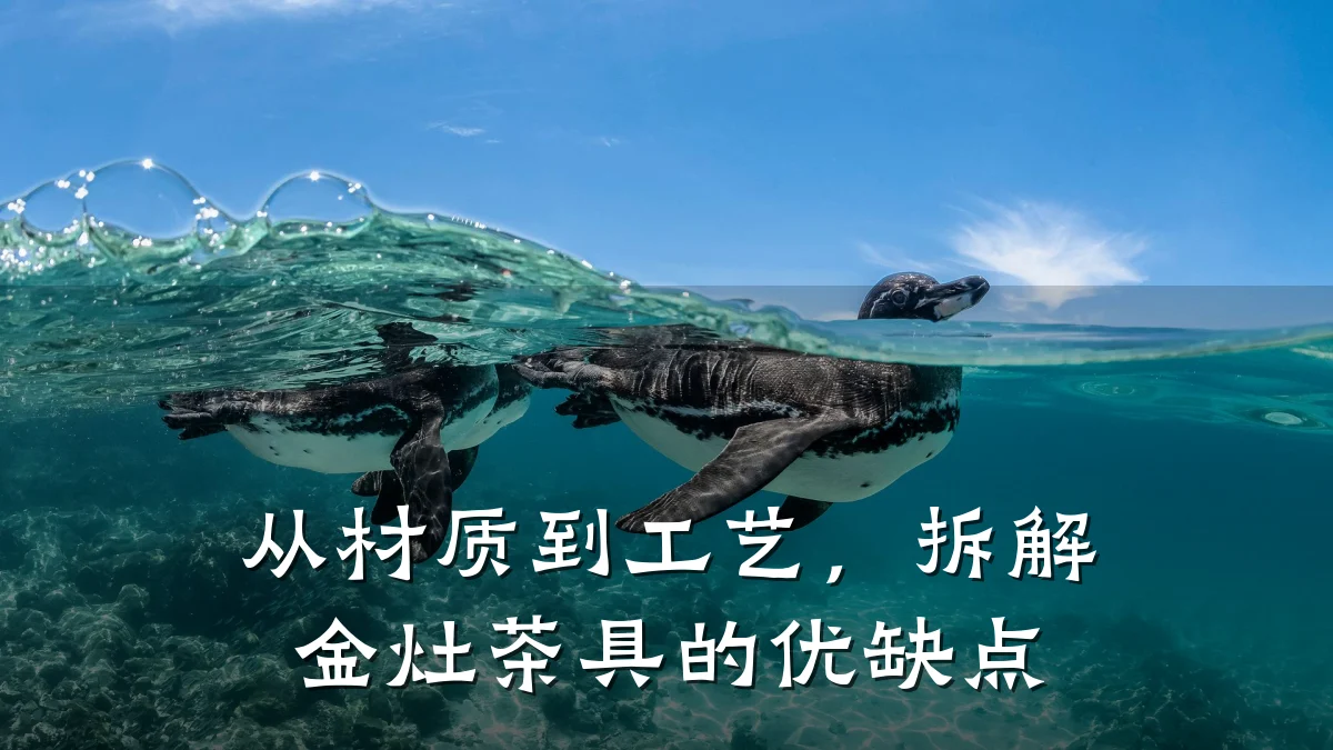 从材质到工艺，拆解金灶茶具的优缺点