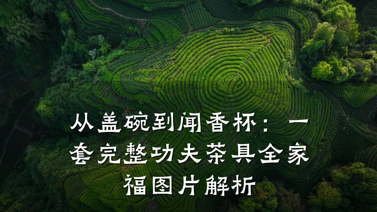 从盖碗到闻香杯:一套完整功夫茶具全家福图片解析