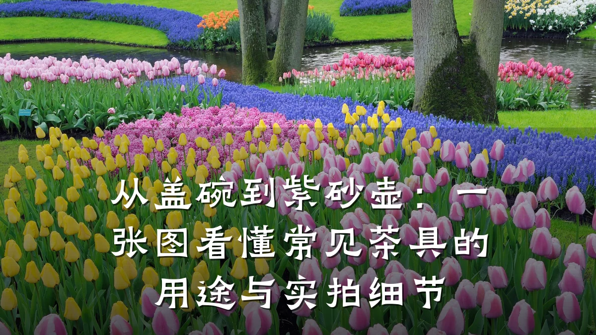 从盖碗到紫砂壶:一张图看懂常见茶具的用途与实拍细节
