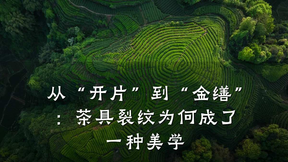从“开片”到“金缮”：茶具裂纹为何成了一种美学