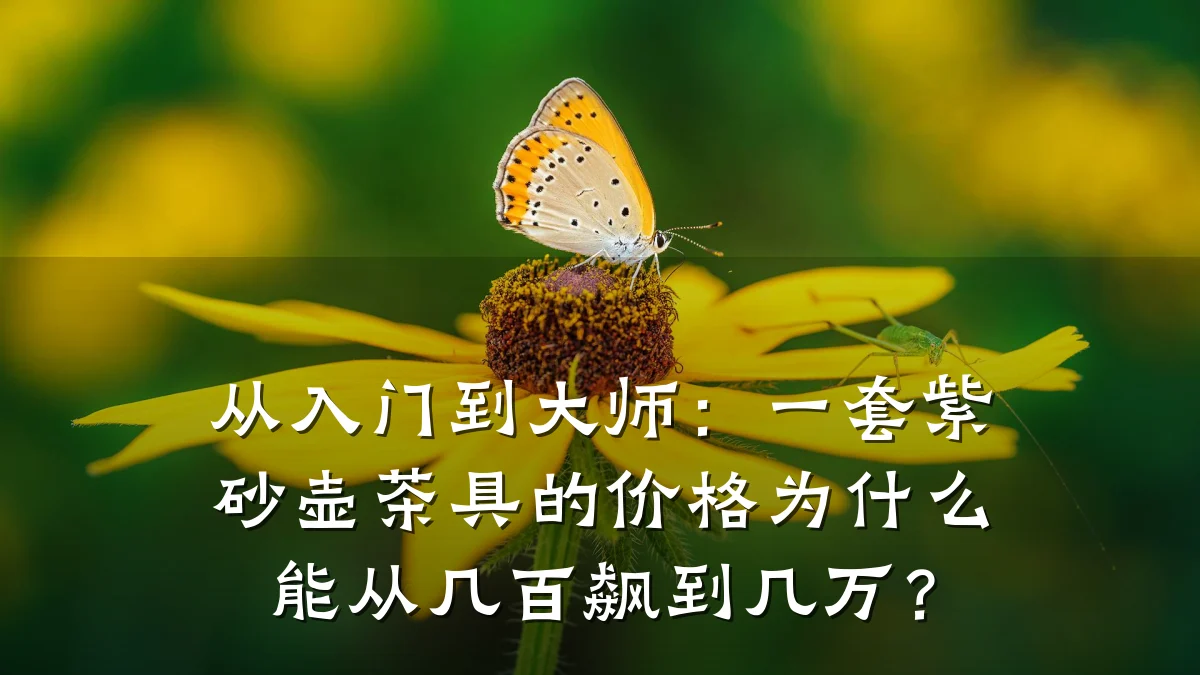 从入门到大师：一套紫砂壶茶具的价格为什么能从几百飙到几万？