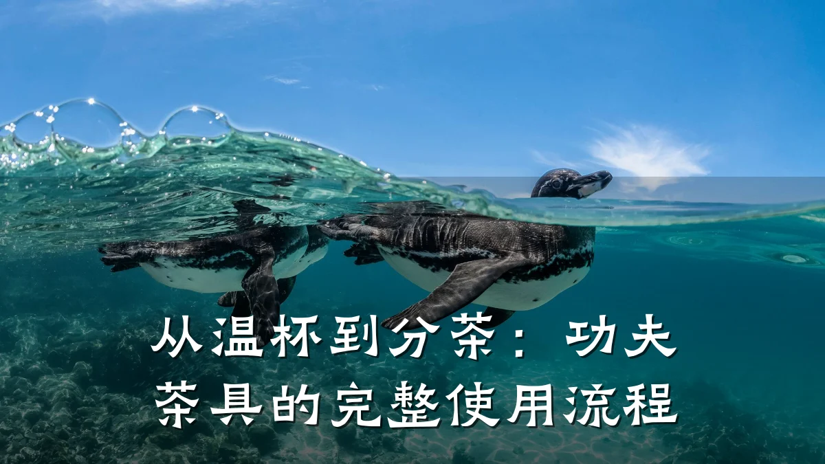 从温杯到分茶：功夫茶具的完整使用流程